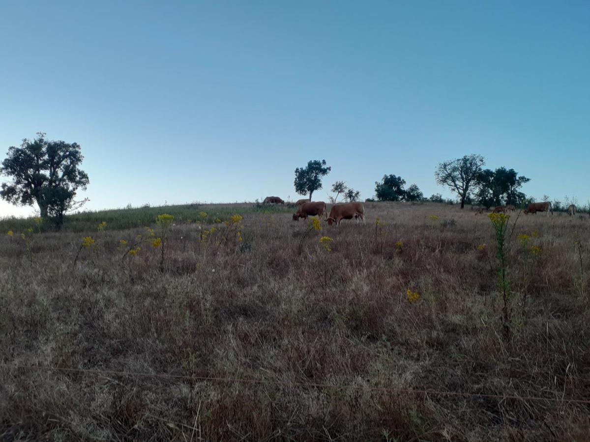Monte Das Covas Sao Teotonio Bagian luar foto